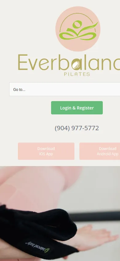 Everbalance website on mobile